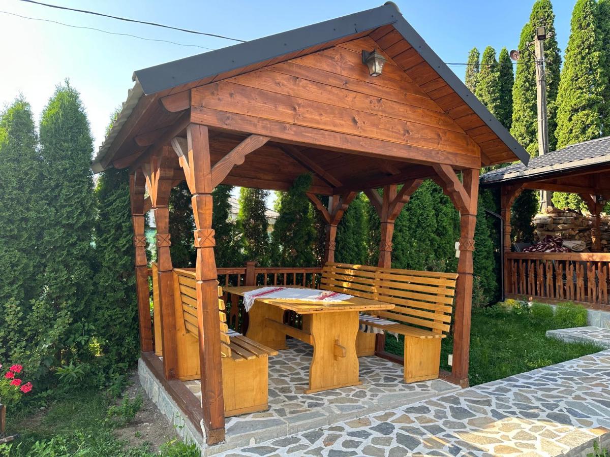 Casa Maramuresana Vişeu de Sus Εξωτερικό φωτογραφία