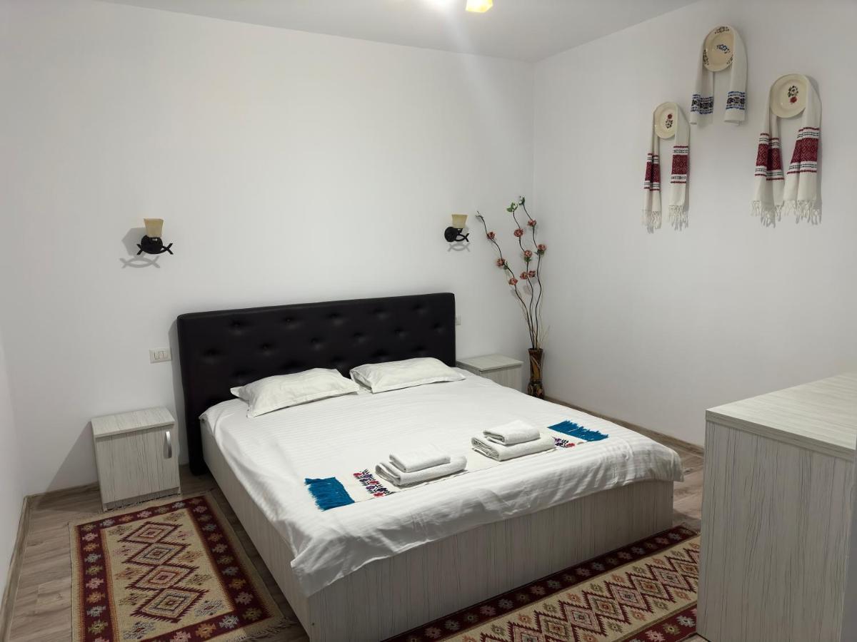 Casa Maramuresana Vişeu de Sus Εξωτερικό φωτογραφία